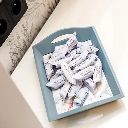 아파트 Usteckie *