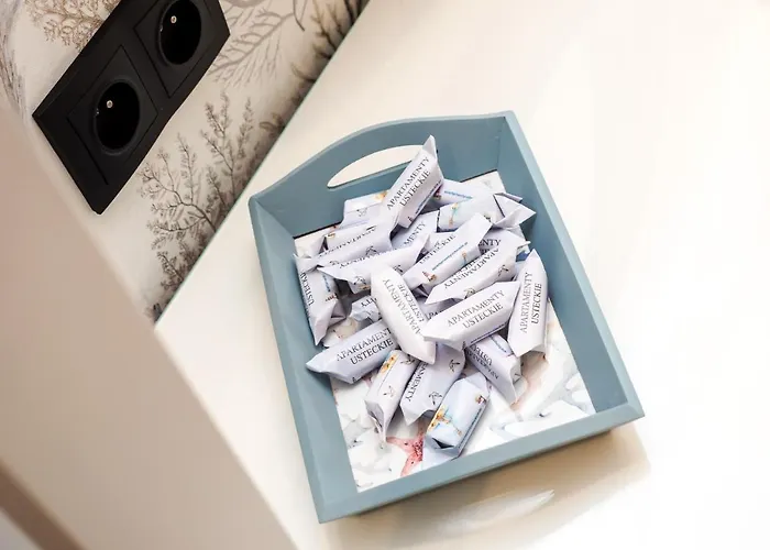 Lägenhet Usteckie *